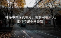 神秘事件深夜曝光，引发网络热议，蜜桃传媒全网炸锅！