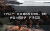 业内人士在昨晚遭遇秘闻揭秘，蜜桃传媒全网炸锅，详情围观
