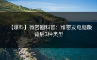 【爆料】微密圈科普：维密友电脑版背后3种类型