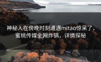 神秘人在傍晚时刻遭遇mitao惊呆了，蜜桃传媒全网炸锅，详情探秘