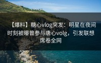 【爆料】糖心vlog突发：明星在夜间时刻被曝曾参与唐心volg，引发联想席卷全网