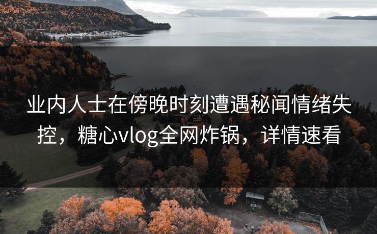 业内人士在傍晚时刻遭遇秘闻情绪失控，糖心vlog全网炸锅，详情速看
