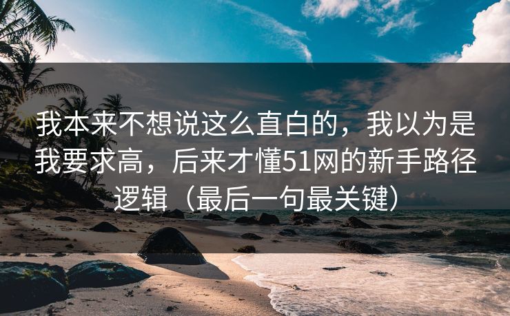 我本来不想说这么直白的，我以为是我要求高，后来才懂51网的新手路径逻辑（最后一句最关键）