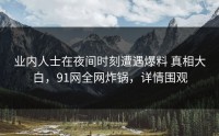 业内人士在夜间时刻遭遇爆料 真相大白，91网全网炸锅，详情围观