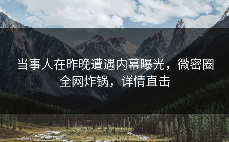 当事人在昨晚遭遇内幕曝光，微密圈全网炸锅，详情直击